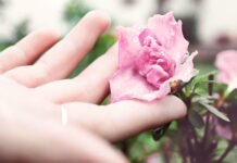 7 Soaps to Supercharge Your Daily Skincare Routine